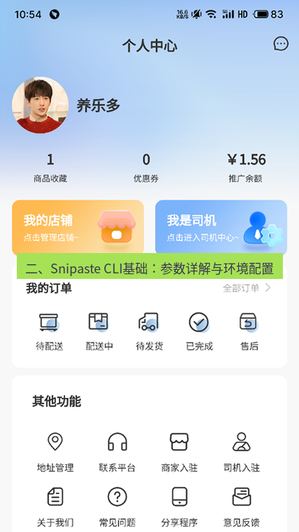 截图软件 二、Snipaste CLI基础：参数详解与环境配置