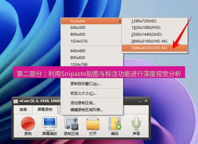 截图软件 第二部分：利用Snipaste贴图与标注功能进行深度视觉分析