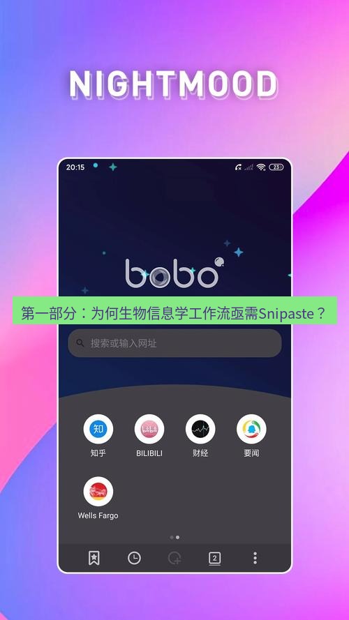 截图软件 第一部分：为何生物信息学工作流亟需Snipaste？